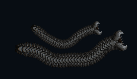 A Doomworm compared with an Endworm